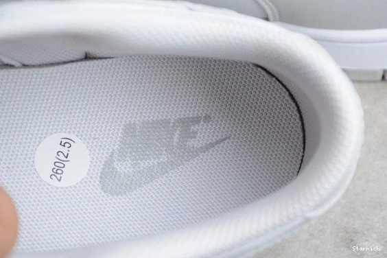 DD1391-103 Dunk Fog Nike Grey Low 0809